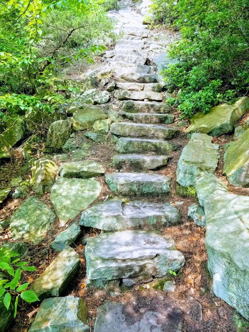 History Gives Every Step More Meaning History Gives Every Step More Meaning