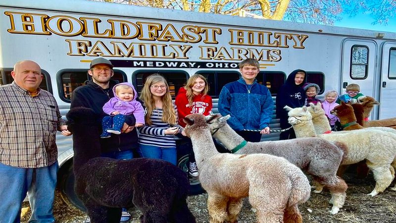 Holdfast Alpaca Farms (Medway, OH) Holdfast Alpaca Farms (Medway, OH)