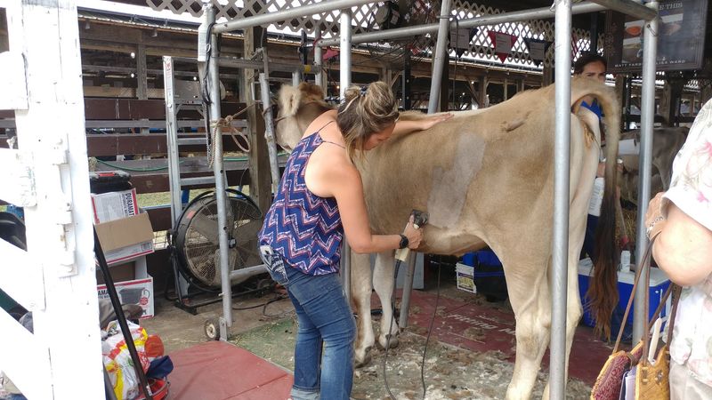 Horse shows and livestock competitions keep the fair’s roots alive