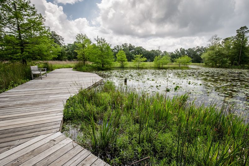 Houston Arboretum & Nature Center (Houston)