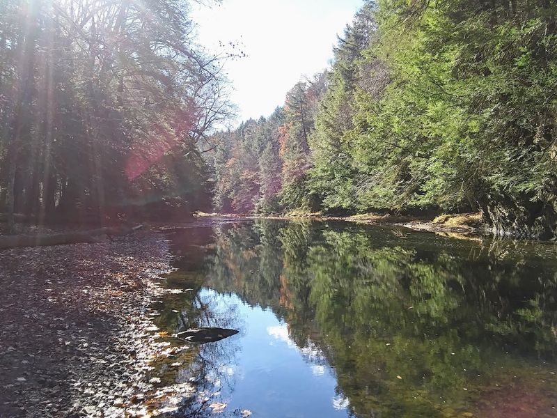 How To Plan A Better Visit To Wolf Creek Narrows