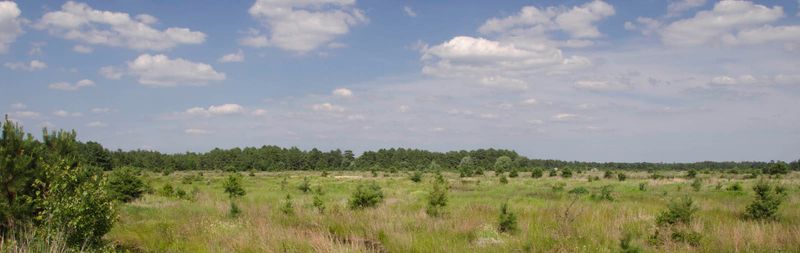 How a Dense Layer of Clay Keeps the Wetland From Draining Away How a Dense Layer of Clay Keeps the Wetland From Draining Away