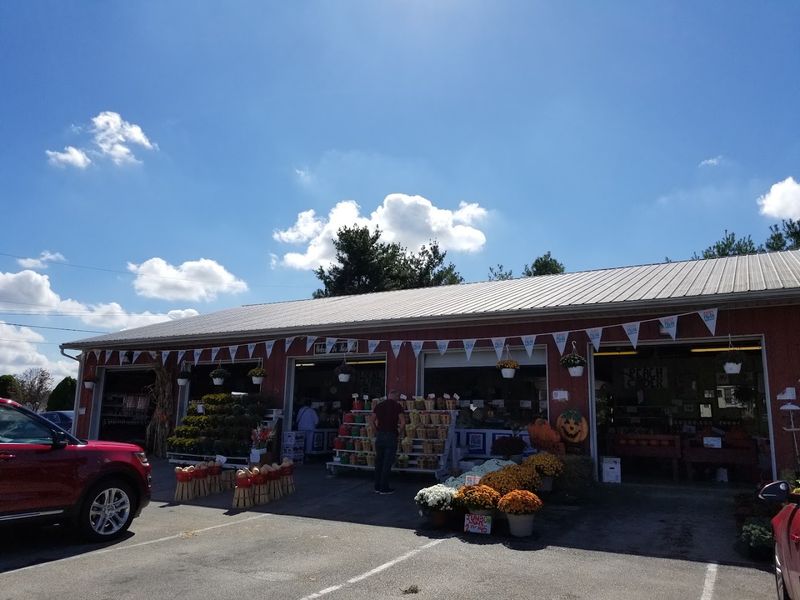 How a Tin Roof and Growing Route 322 Traffic Helped Rosie’s Expand How a Tin Roof and Growing Route 322 Traffic Helped Rosie’s Expand