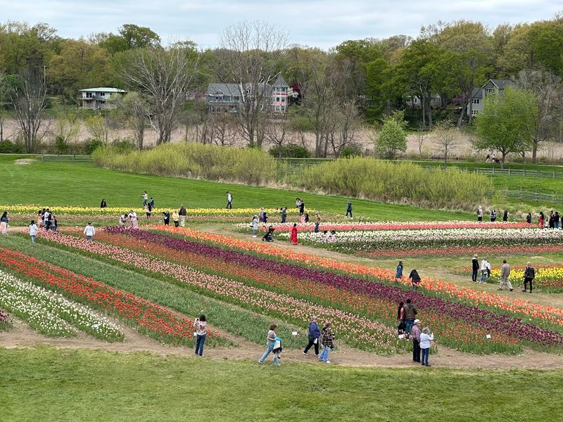 How to Plan a Visit That Actually Works How to Plan a Visit That Actually Works