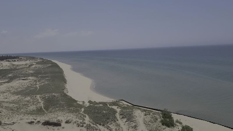 How to Time a Visit to Ludington State Park for the Best Day