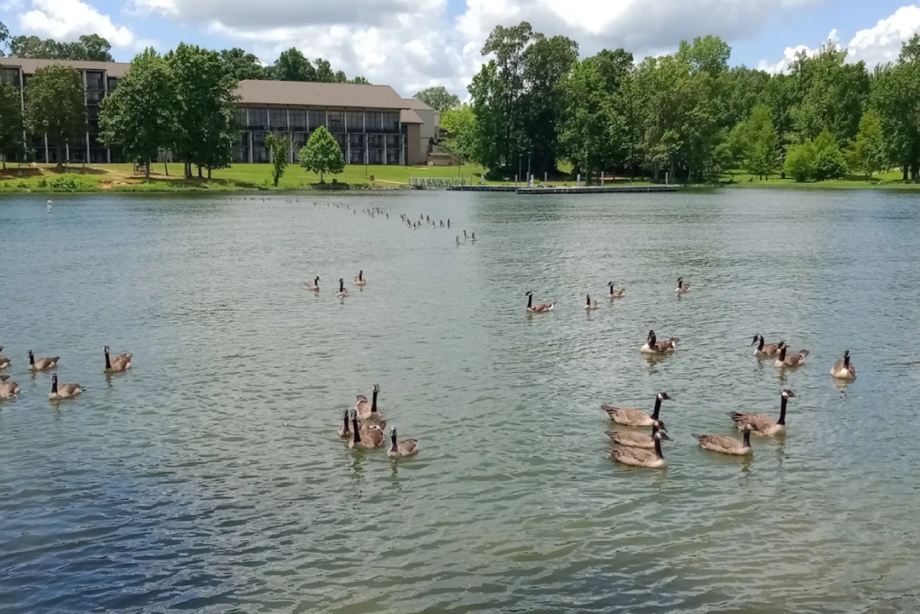 If You're Spending Your Summer Vacation In Tennessee, These 12 Incredible Spots Belong On Your List