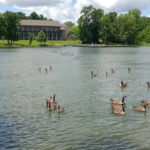 If You're Spending Your Summer Vacation In Tennessee, These 12 Incredible Spots Belong On Your List