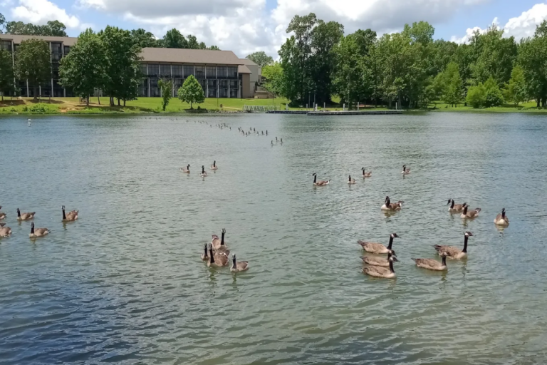 If You’re Spending Your Summer Vacation In Tennessee, These 12 Incredible Spots Belong On Your List
