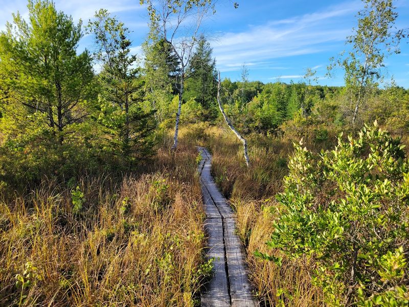 Important Trail Cautions Before You Go Important Trail Cautions Before You Go