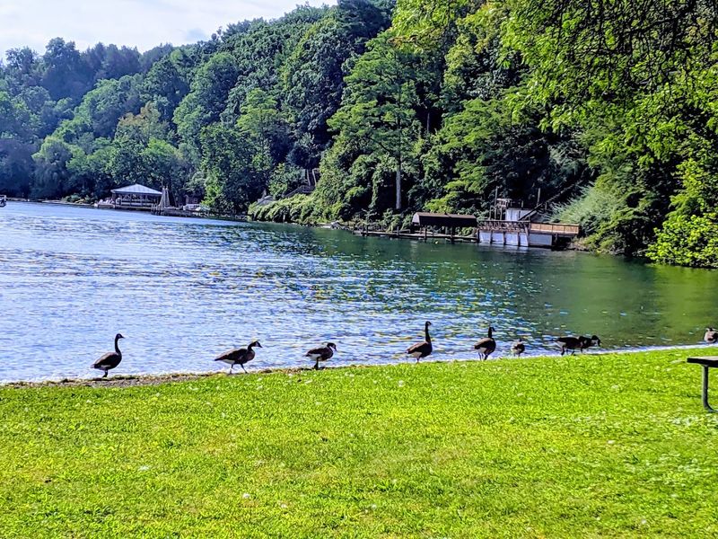 Incredible Natural Scenery Incredible Natural Scenery