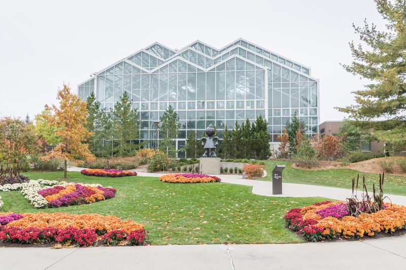 Inside the Tropical Greenhouse, Michigan Disappears Inside the Tropical Greenhouse, Michigan Disappears