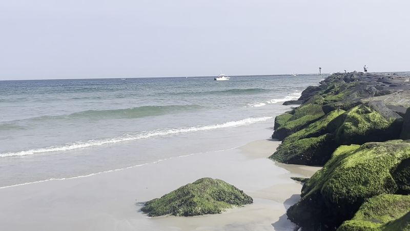 Island Beach State Park - Seaside Park Island Beach State Park - Seaside Park