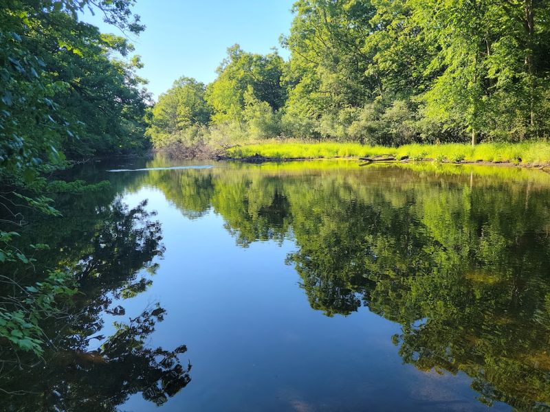 Island Lake Recreation Area Trails – Brighton, Livingston County