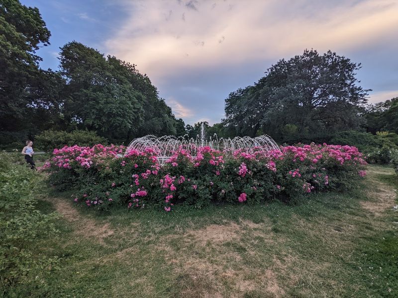 It Is One Of Columbus's Best Photo Spots