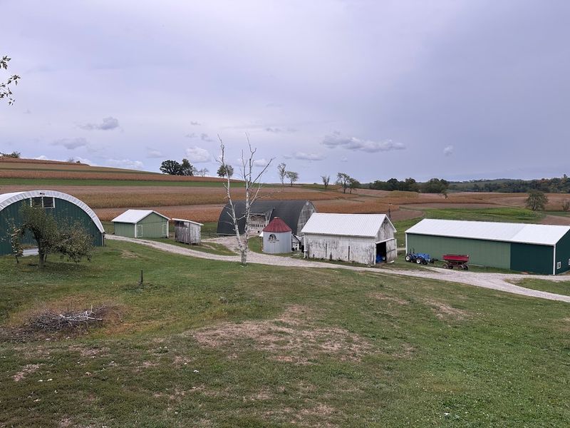 It feels like a real working farm, not a staged attraction