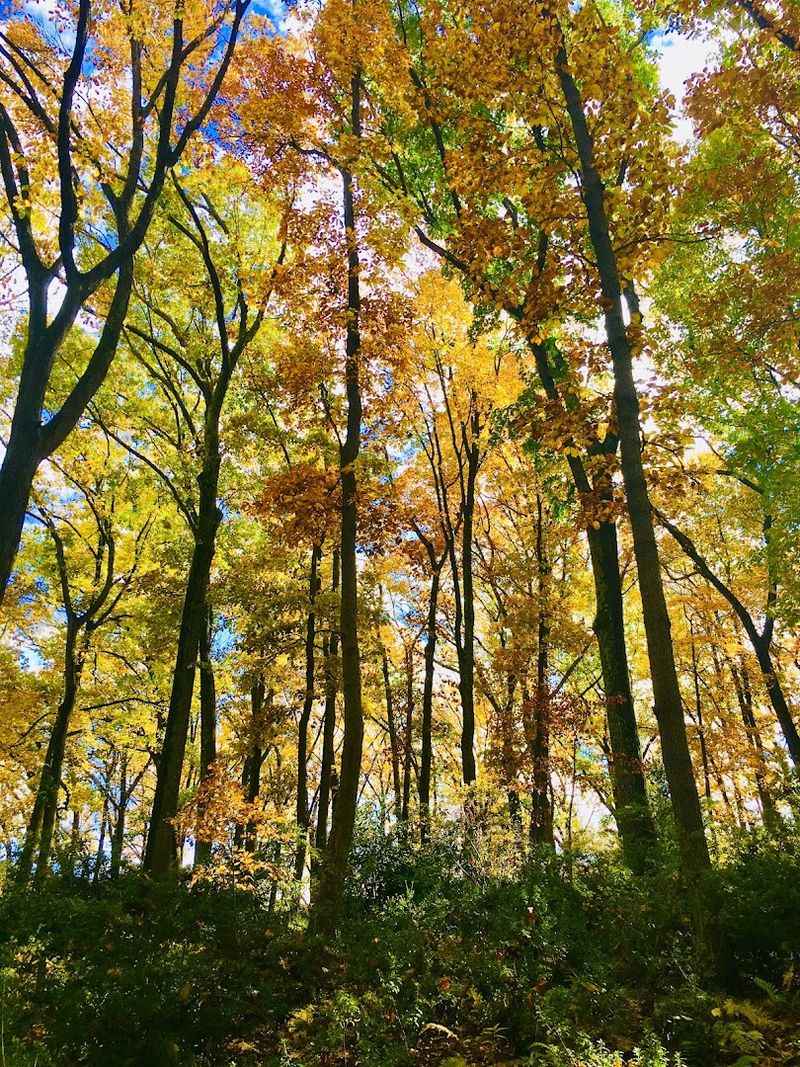 It feels peaceful in every season It feels peaceful in every season
