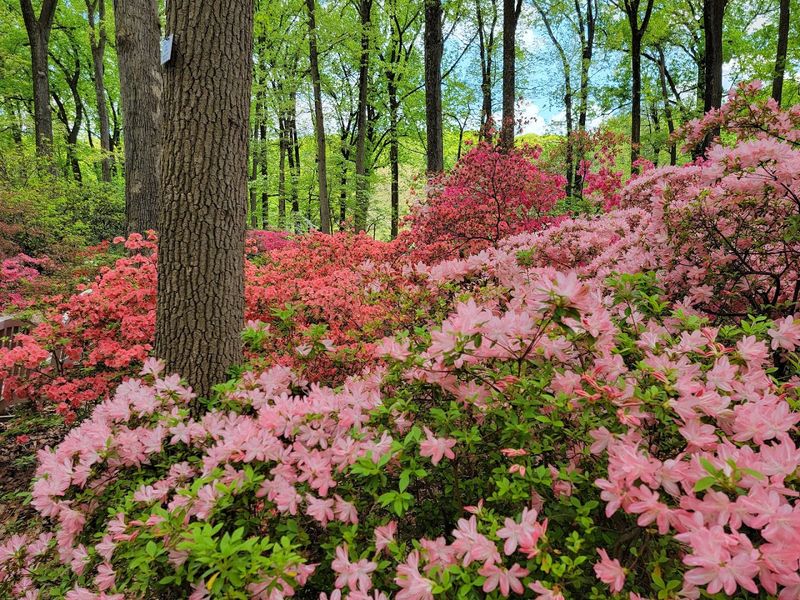 It is one of the Main Line's true hidden gems It is one of the Main Line's true hidden gems