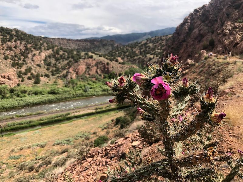 Why This Trail Stays Under Your Skin