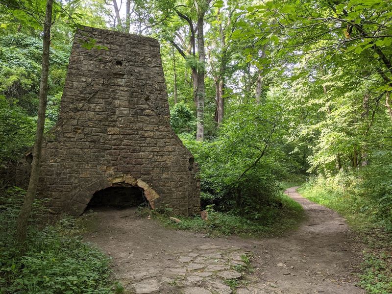 Why White Pines Forest State Park Looks Different From Nearby Illinois Why White Pines Forest State Park Looks Different From Nearby Illinois
