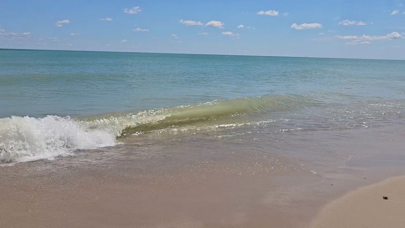 When to Go for the Best Beach Energy in Illinois