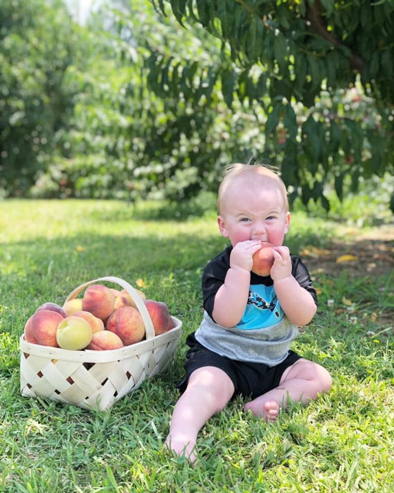 Jeter Mountain Farm