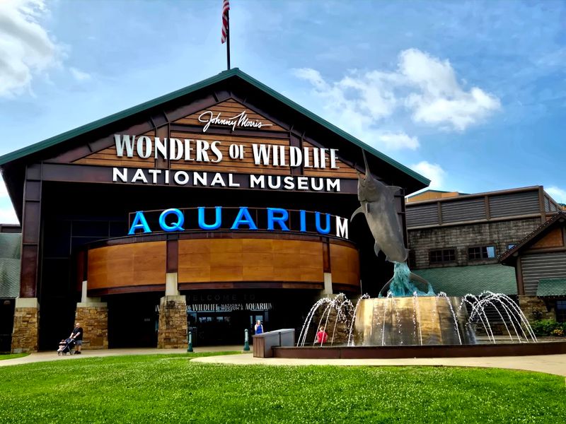 Johnny Morris’ Wonders of Wildlife National Museum & Aquarium