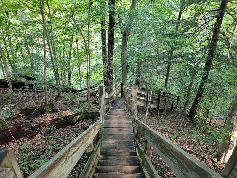 Indiana Trails With Ladders, Stairs, and a Little Attitude