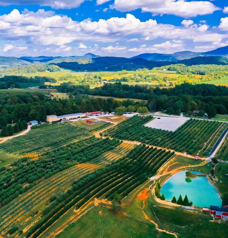 Justus Orchard