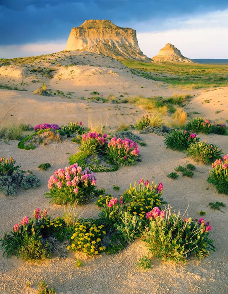 Pawnee Buttes Pawnee Buttes
