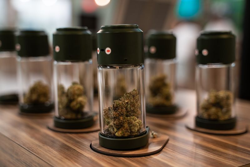 Kayla Montoro and Jon Fleishman Built Conservatory Cannabis Co From the Ground Up Kayla Montoro and Jon Fleishman Built Conservatory Cannabis Co From the Ground Up
