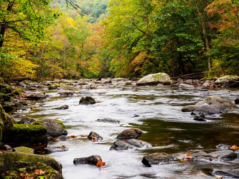 Ken Lockwood Gorge Wildlife Management Area - Califon Ken Lockwood Gorge Wildlife Management Area - Califon