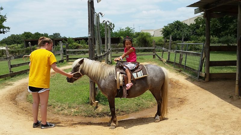 Kiddie Acres (Austin) Kiddie Acres (Austin)