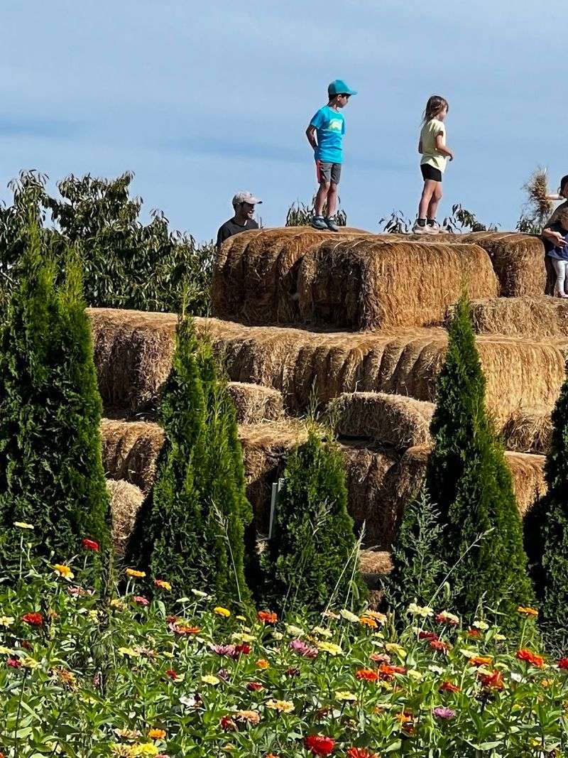 Kids get plenty to love beyond the berry rows