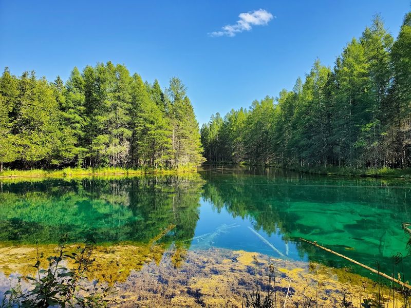 Kitch-iti-kipi at Palms Book State Park – Manistique, Schoolcraft County
