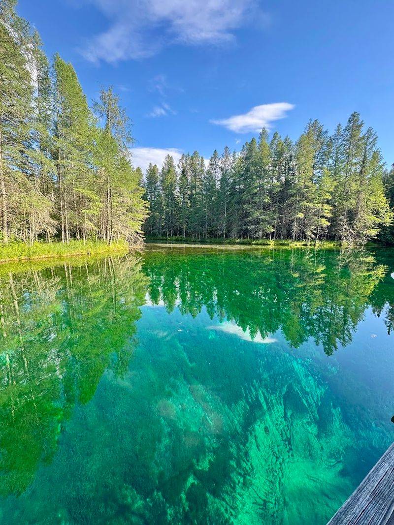 Kitch-iti-kipi at Palms Book State Park