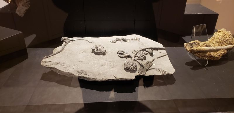 Knowledgeable Guides Make Rocks Come Alive