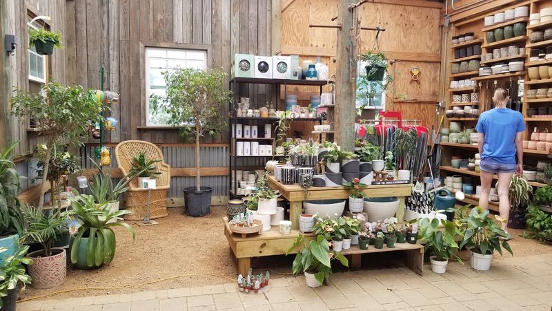 Knowledgeable Staff Who Solve Real Garden Problems