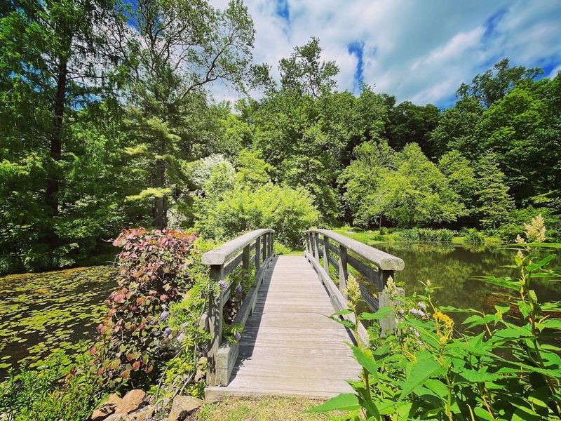 Leonard J. Buck Garden Hides 33 Acres of Natural Beauty in Far Hills