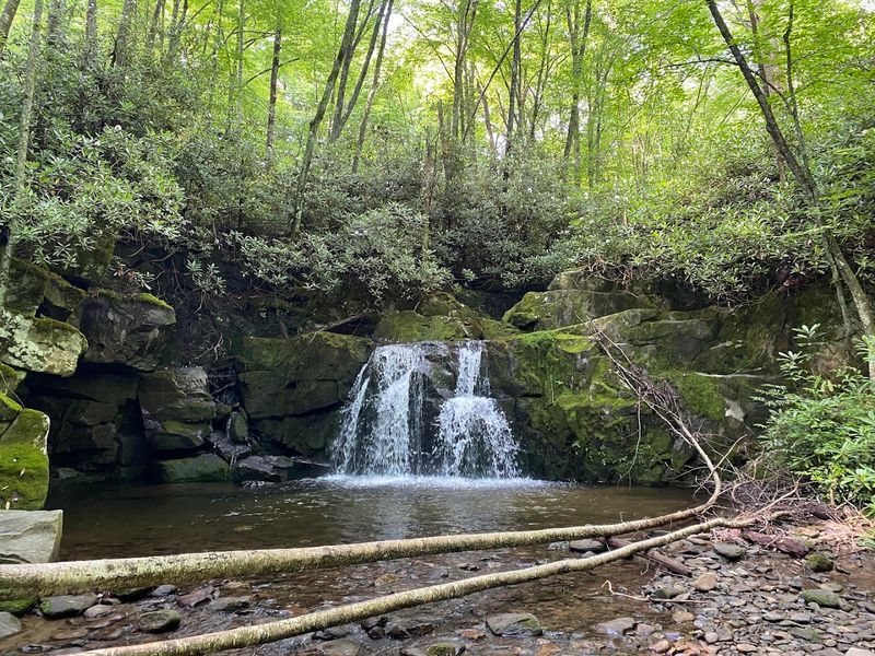 Less Crowded Than Famous Smokies Trails