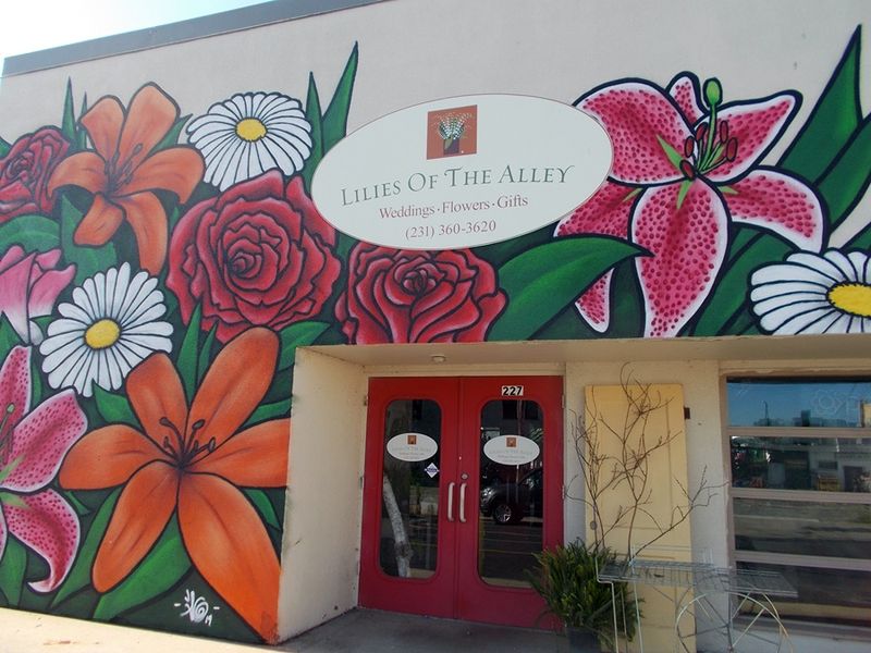 Lilies Of The Alley — Traverse City Lilies Of The Alley — Traverse City