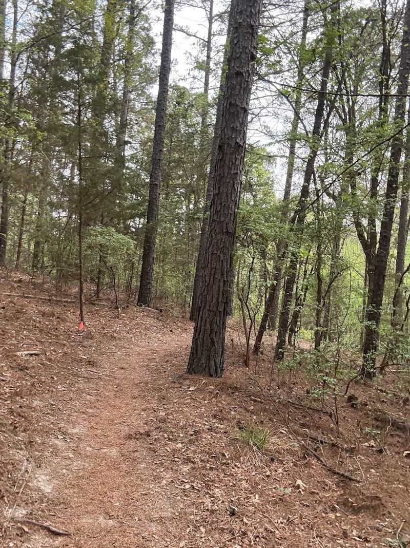 Lindsey Park (Tyler)
