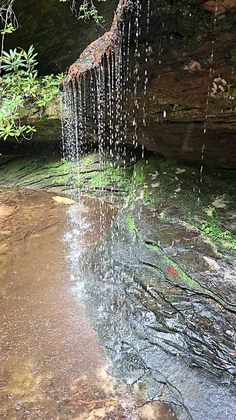 Listen for the Waterfalls Before You See Them Listen for the Waterfalls Before You See Them