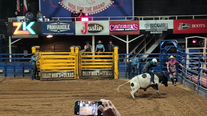 Live Bull Riding Shows That Bring the Rodeo Inside