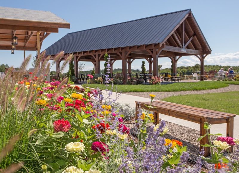 Live Music and the Rhythm of a Leelanau Evening