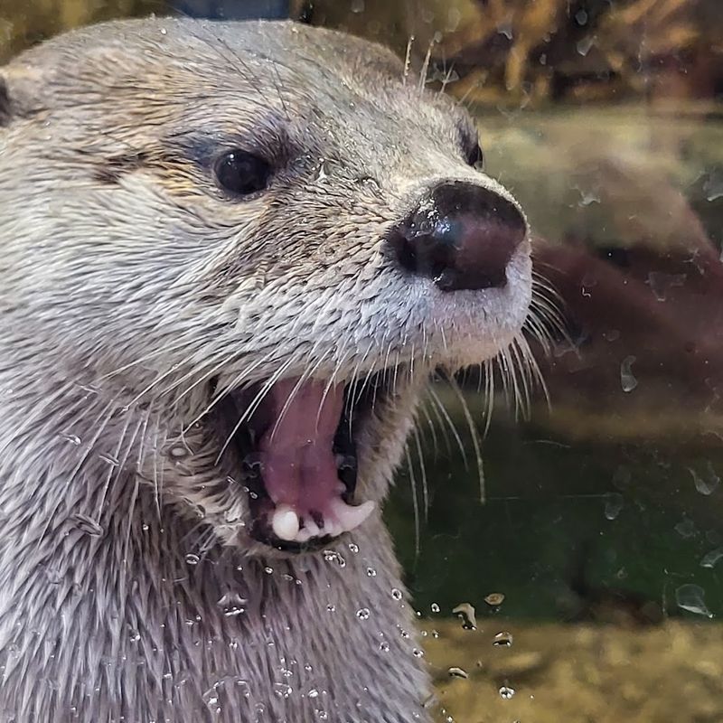 Live animals turn the visit into something unforgettable