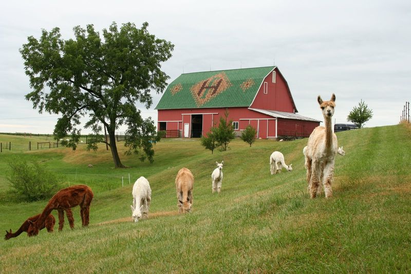 Heritage Farm & Events, LLC (Flora)