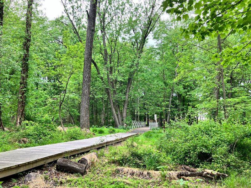 Luisi’s Trail at Fanwood Nature Center — Fanwood Luisi’s Trail at Fanwood Nature Center — Fanwood