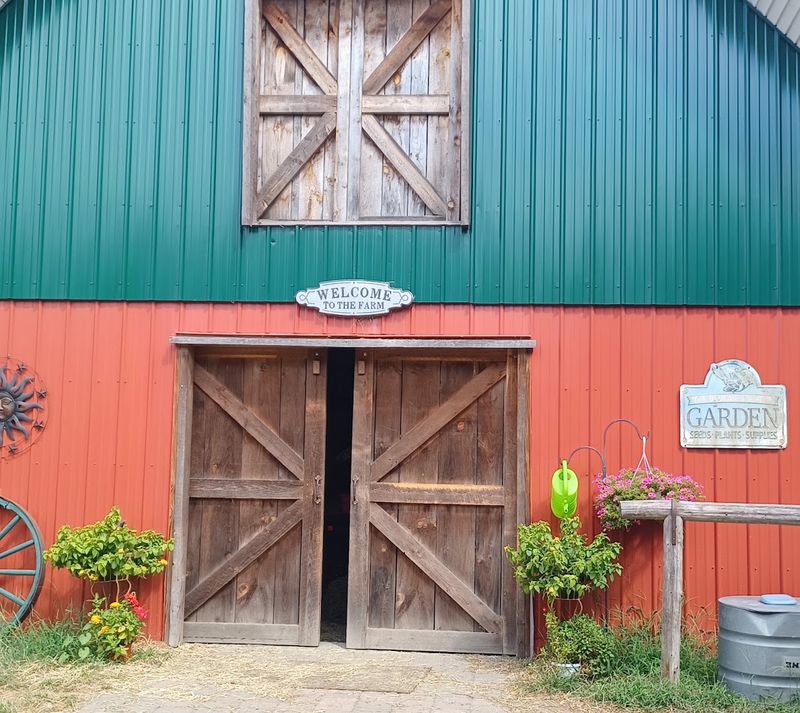 Luxurious Alpaca Fleece Becomes Yarn Clothing and Cozy Gifts in the Farm Shop