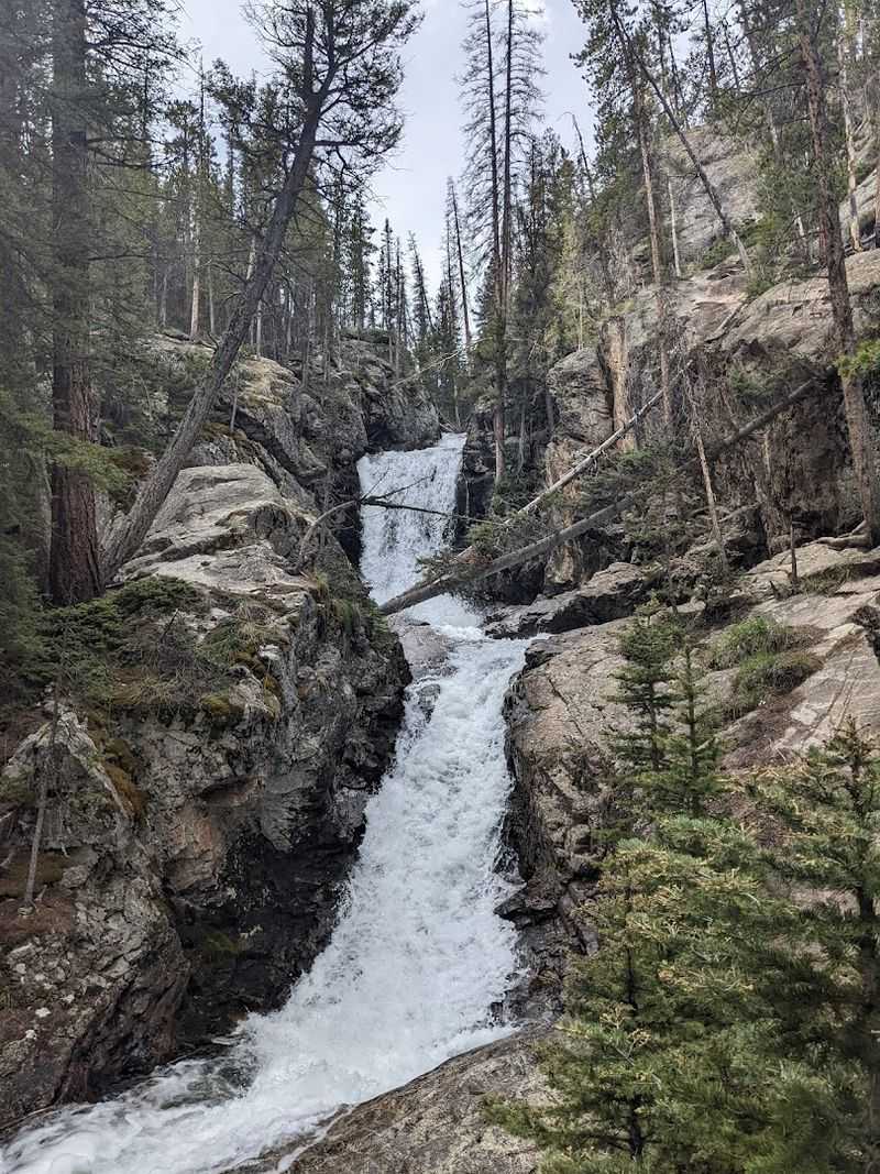 Buena Vista Buena Vista