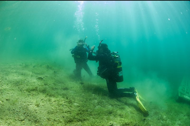The Unexpected Bonus Beneath the Surface The Unexpected Bonus Beneath the Surface